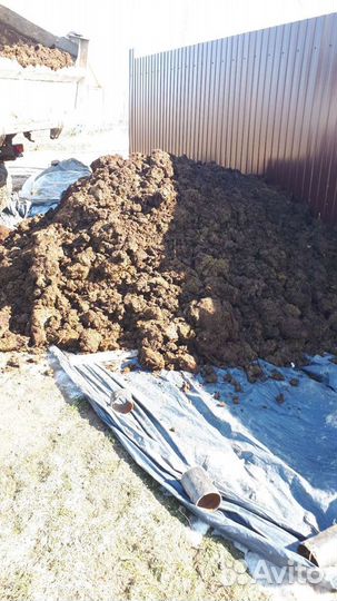 Навоз для малины с доставкой