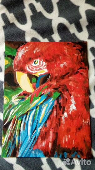 Картина попугай 30*40