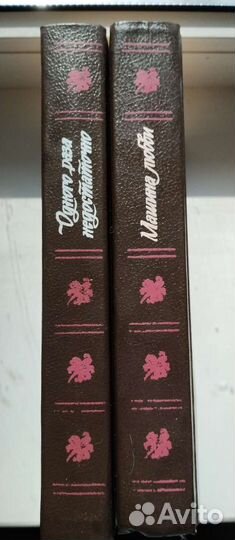 2Книги, Жаклин Сьюзан