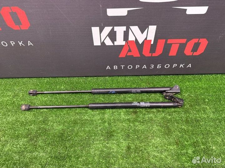 Газовые упоры багажника Hyundai Tucson Jm 2.0 G4GC