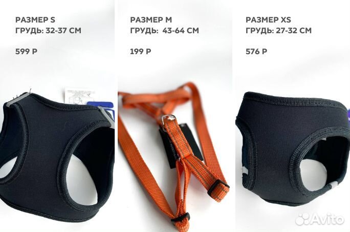 Шлейки для собак