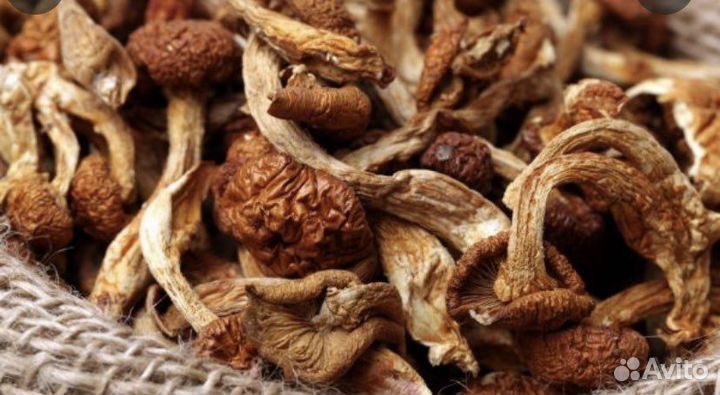 Сушеная полынь,малина,маринованные опята,брусника