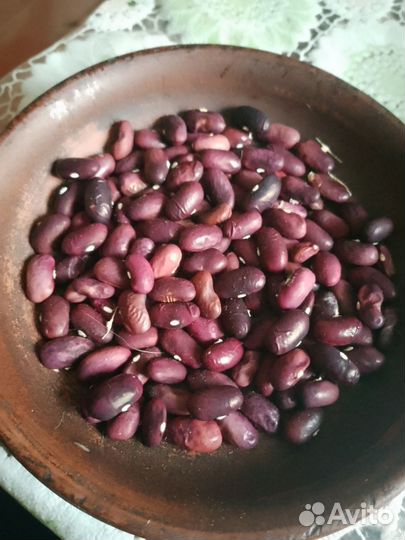 Семена кинзы (кориандра), амфора, жëлтый арбуз