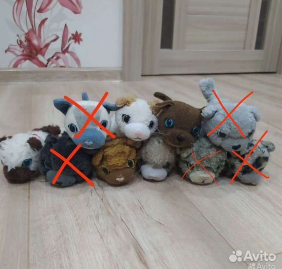 Журналы и кошки The cat collection