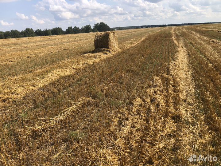 Сено с соломой