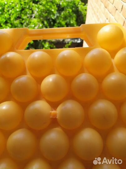 Контейнер для хранения яиц