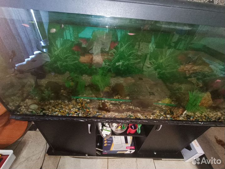 Аквариум с тумбой 450 литров с рыбками