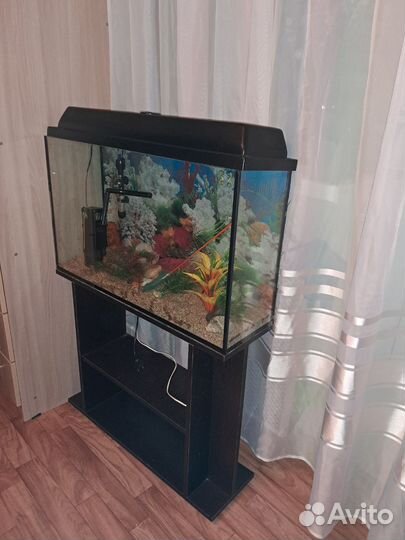 Аквариум с тумбой 80 л
