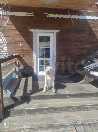 Комната 15 м², 2/2 эт.