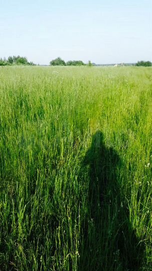 Участок 1,2 га (ИЖС)