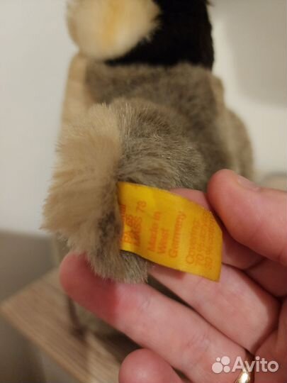 Пингвин Германия