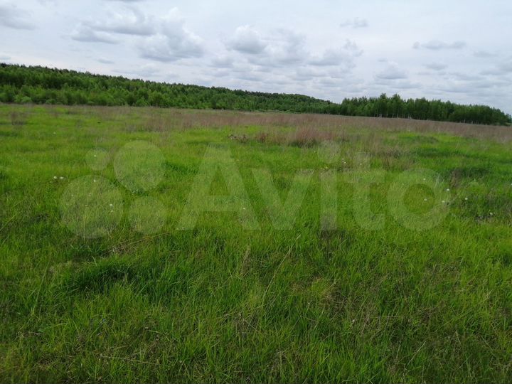 Участок 33 га (СНТ, ДНП)