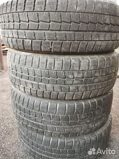 Dunlop Winter Maxx WM01 195/65 R15 91Q