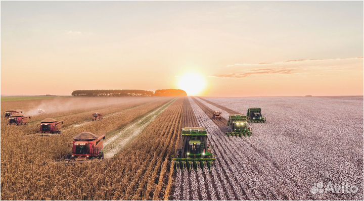 Инвестор/ Пассивный доход до 50%