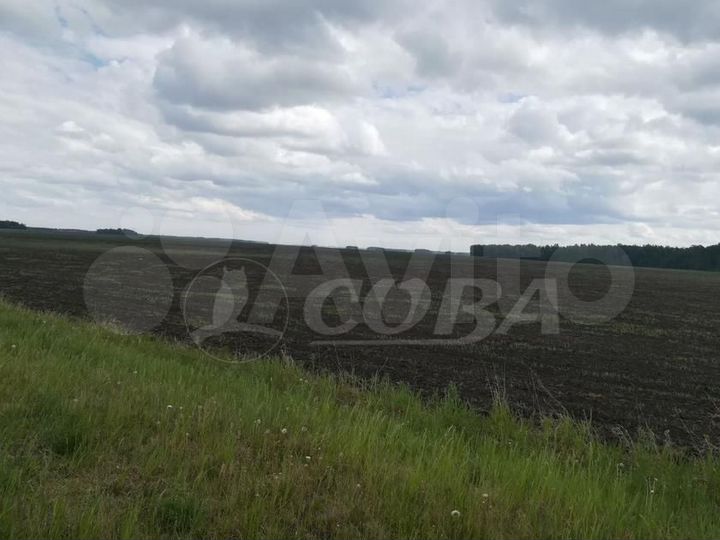 Участок 4,29 га (СНТ, ДНП)