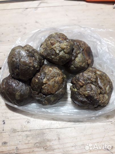 Прополис пчелиный