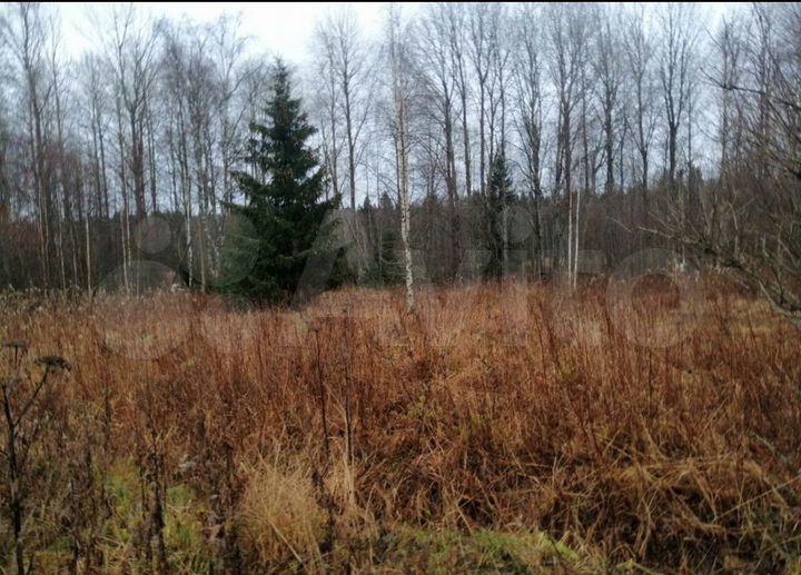 Участок 17,7 сот. (ИЖС)