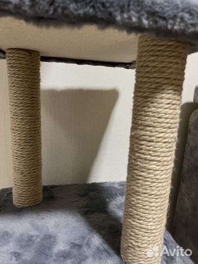 Когтеточка, лоток, переноска, миски. Набор котика