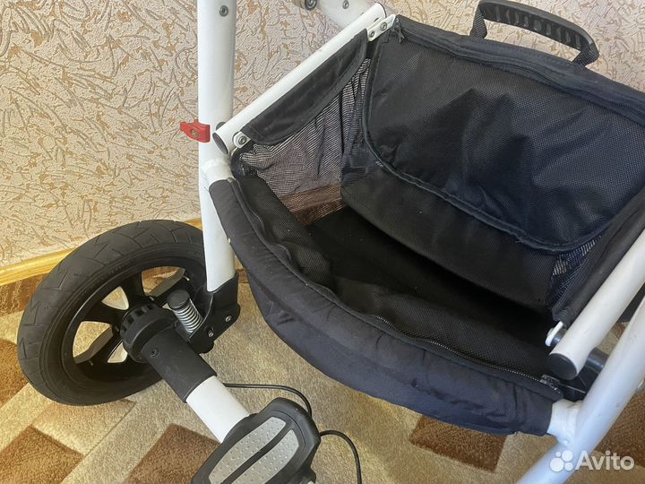 Коляска 2 в 1 adamex