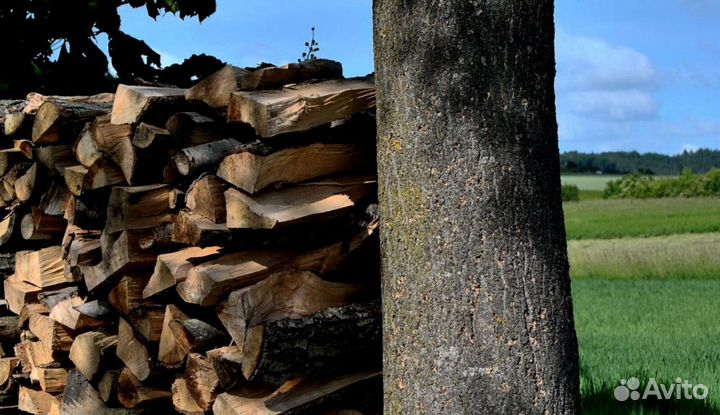 Дрова с пилорамы