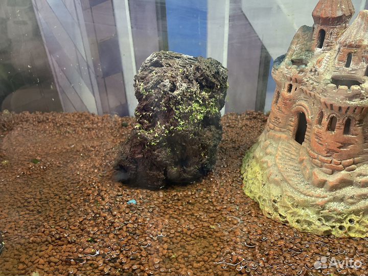 Аквариум полный комплект