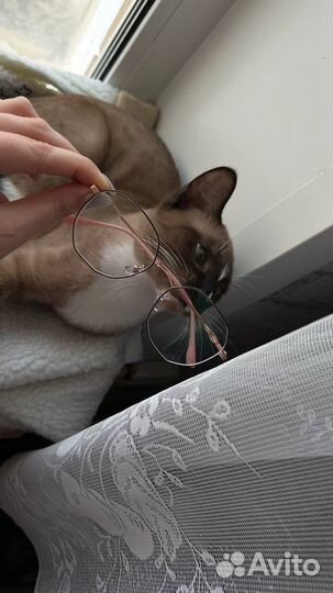 Очки для зрения женские минусовые