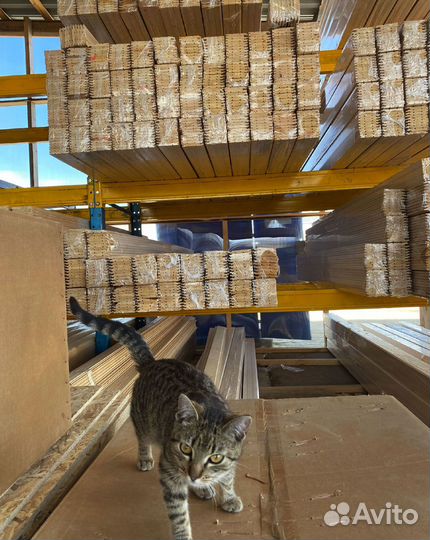 Евровагонка