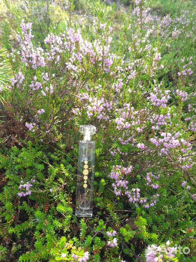 Духи женские и мужские