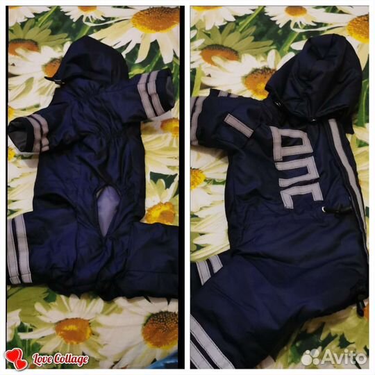 Одежда для маленьких собак