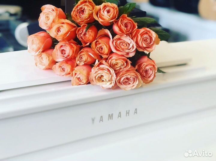 Цифровое пианино для обучения