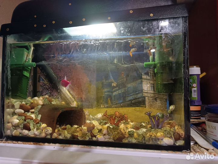 Аквариум