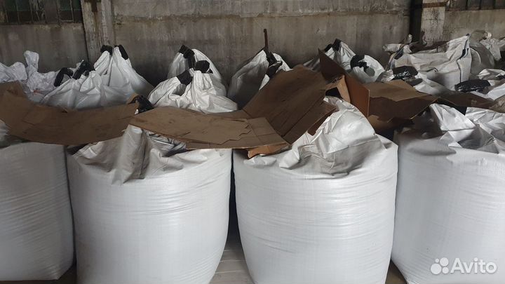 Озимый рапс Элита