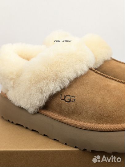 Угги Ugg Slippers Disquette Chestnut