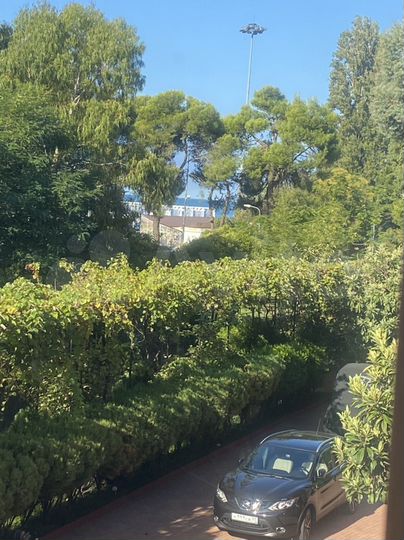 Квартира-студия, 33,8 м², 2/4 эт.