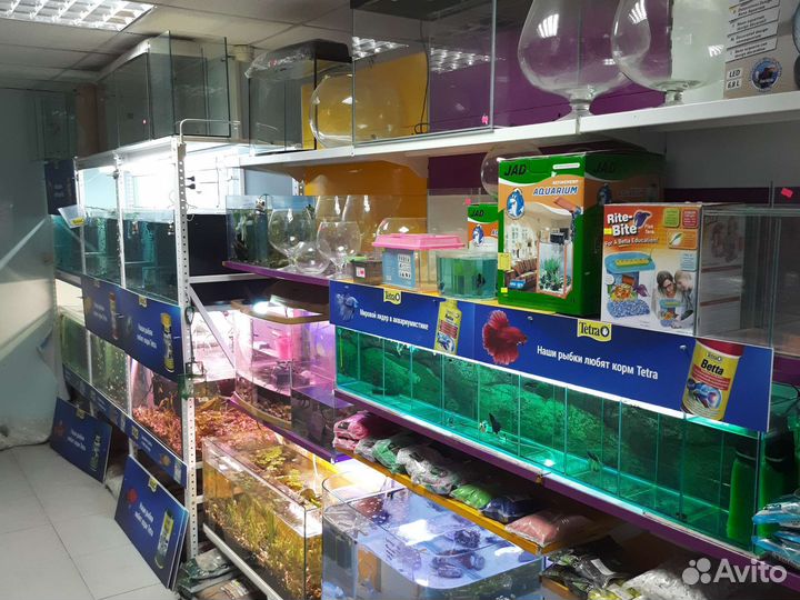 Боция клоун