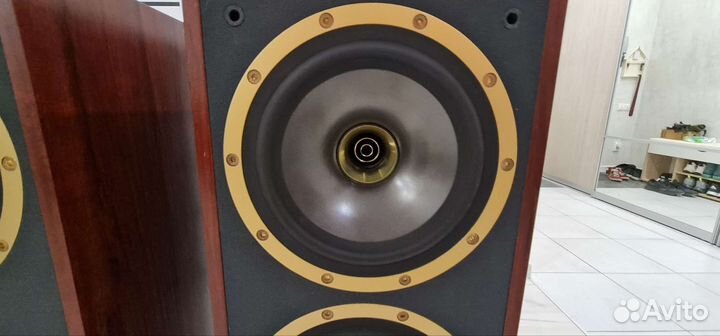 Tannoy Sensys Gold D2 Обмен возможен + Видео