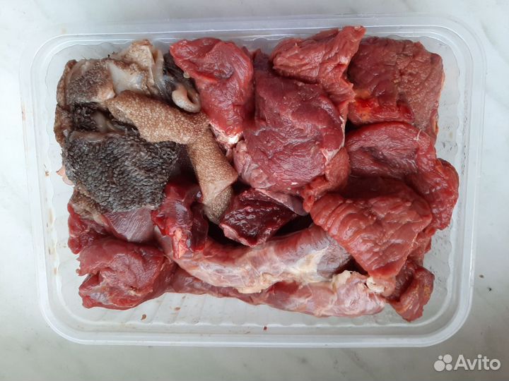 Корм для собак