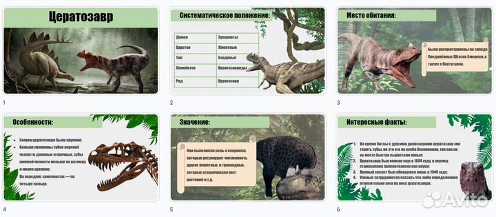 Создание презентаций, буклетов, докладов, инд. пр