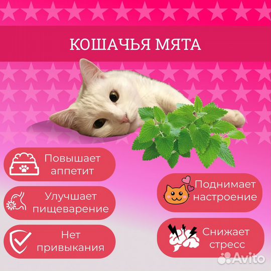 Интерактивный шарик с мятой и со звуком для кошки