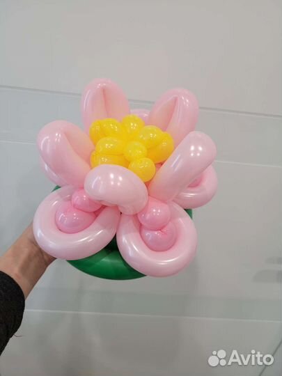 Цветы, букеты, животные и другое из шаров