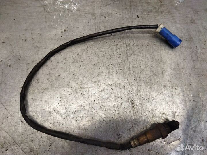 Датчик кислородный Ford Focus 2 хетчбэк 2.0 aoda