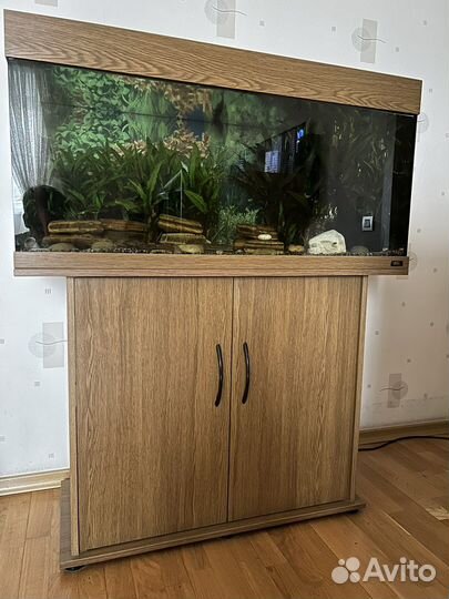 Аквариум с тумбой 250 литров