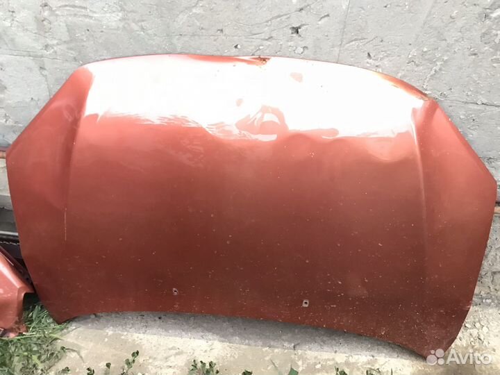 Капот гранта