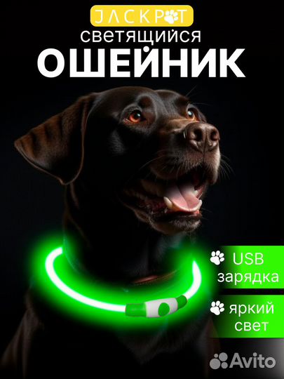 Светящийся ошейник для собак