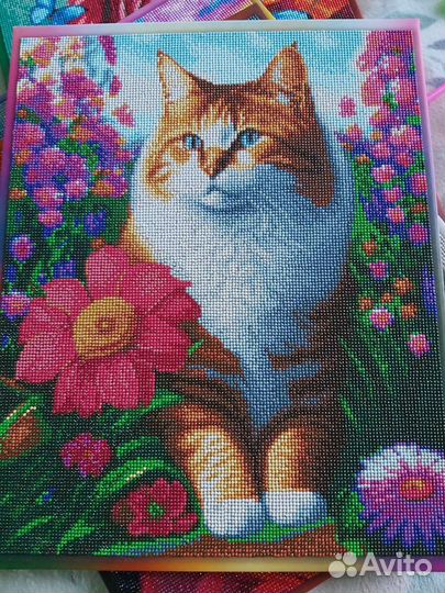 Картина по номерам новая