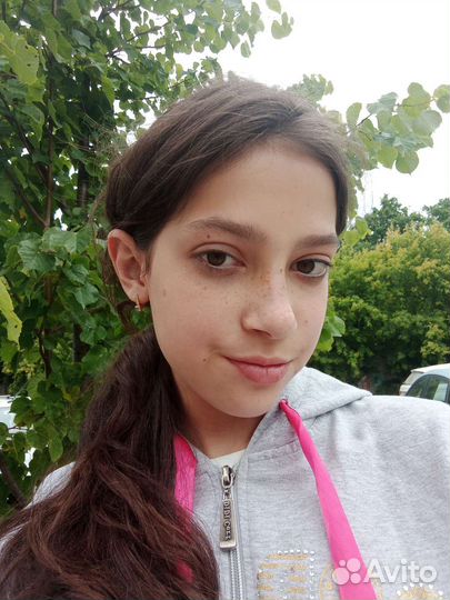 Выгул собак