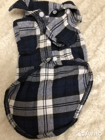 Одежда для собак мини/ стандарт