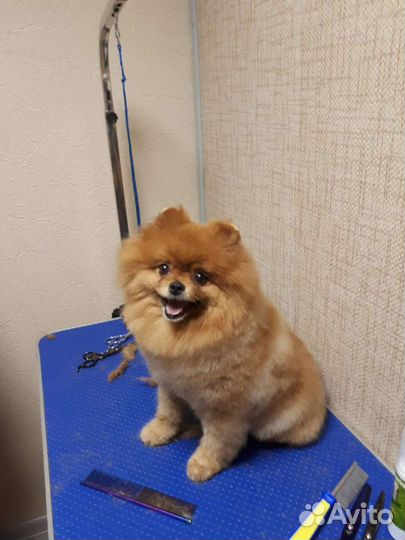 Шпицы для вязки