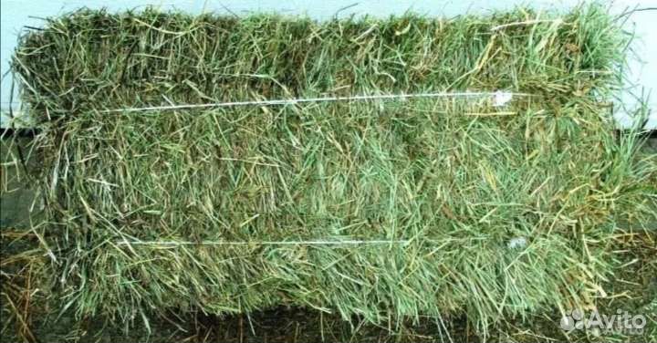 Сено солома в тюках и рулонах