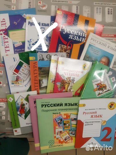 Учебники по литературе и русскому языку